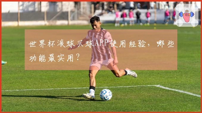 世界杯滚球买球APP使用经验，哪些功能最实用？