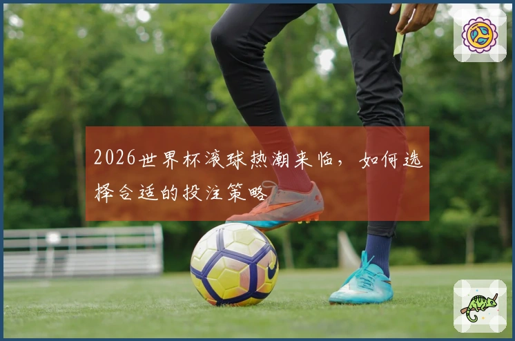 2026世界杯滚球热潮来临，如何选择合适的投注策略