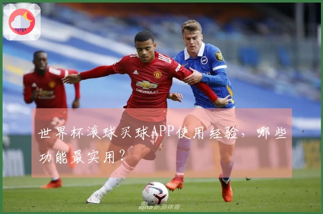 世界杯滚球买球APP使用经验，哪些功能最实用？