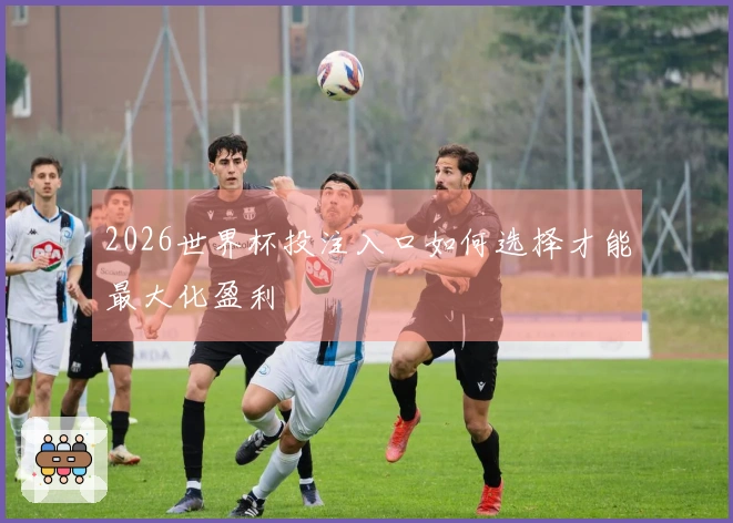 2026世界杯投注入口如何选择才能最大化盈利