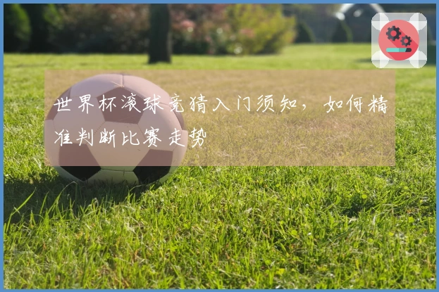 世界杯滚球竞猜入门须知，如何精准判断比赛走势